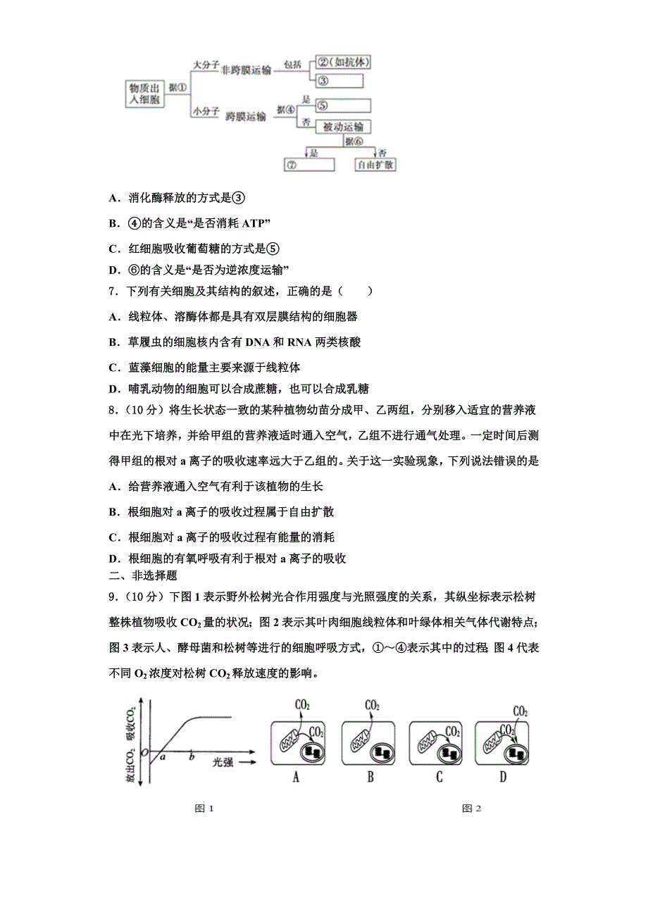 2024届山东省新泰中学生物高一上期末质量检测试题含解析_第2页