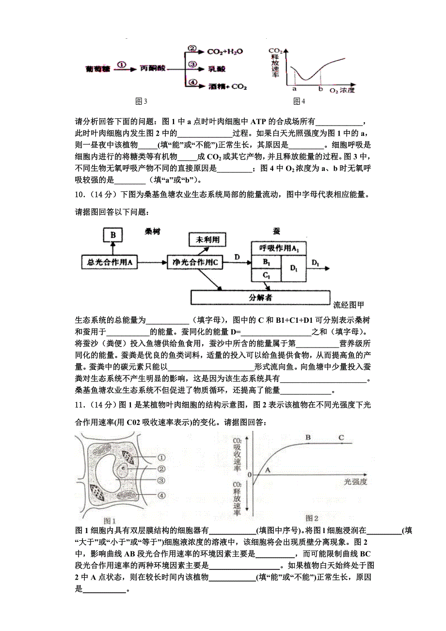 2024届山东省新泰中学生物高一上期末质量检测试题含解析_第3页