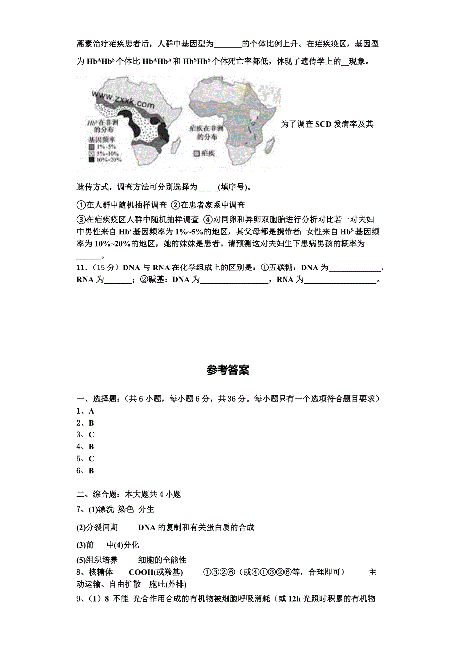 2024届河北省石家庄生物高一第一学期期末质量检测试题含解析_第4页