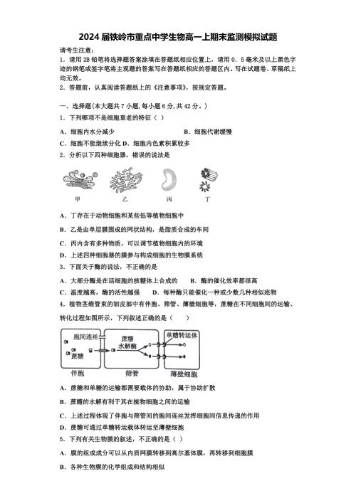 2024届铁岭市重点中学生物高一上期末监测模拟试题含解析