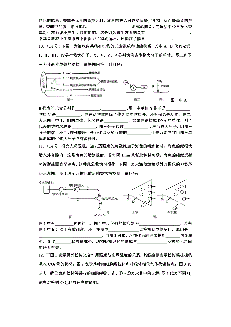 2024届江西省上饶市广丰县新实中学生物高一第一学期期末检测模拟试题含解析_第3页