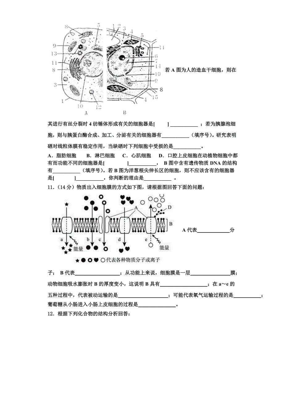 2024届山大附属中学高一生物第一学期期末统考试题含解析_第3页