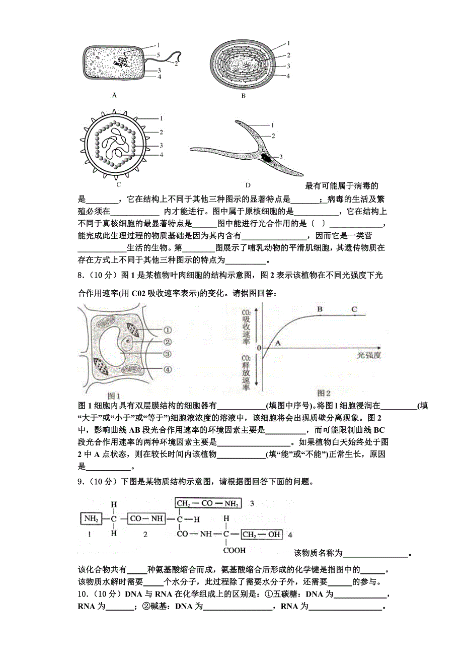 2024届内蒙古呼伦贝尔市名校高一生物第一学期期末复习检测试题含解析_第3页