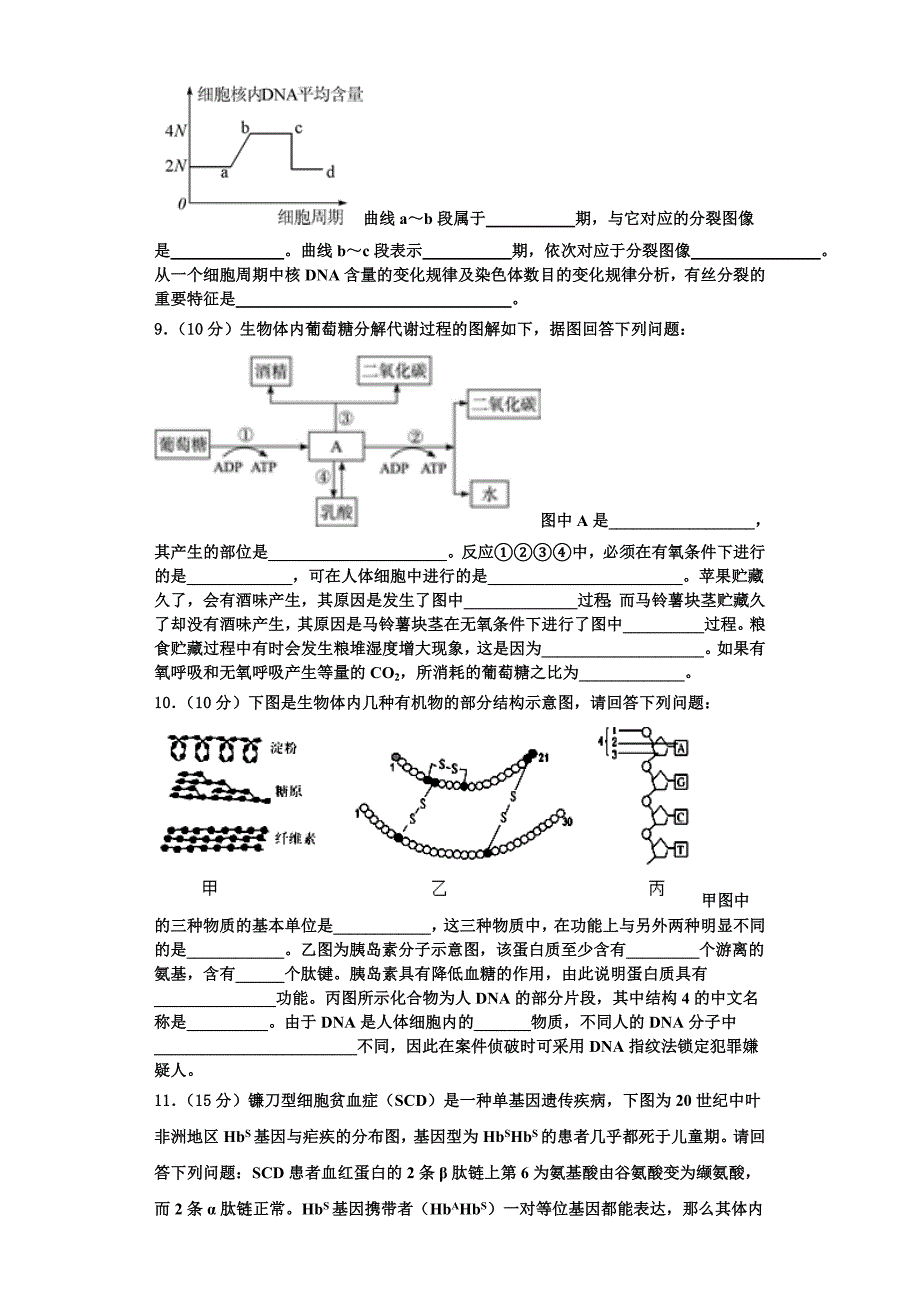 2024届湖北省巴东三中高一生物第一学期期末达标检测试题含解析_第3页