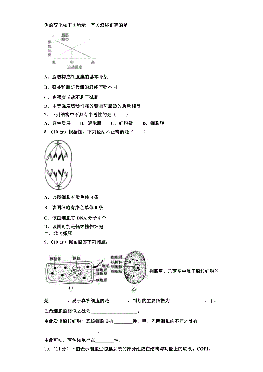 2024届普洱市重点中学生物高一上期末检测模拟试题含解析_第2页