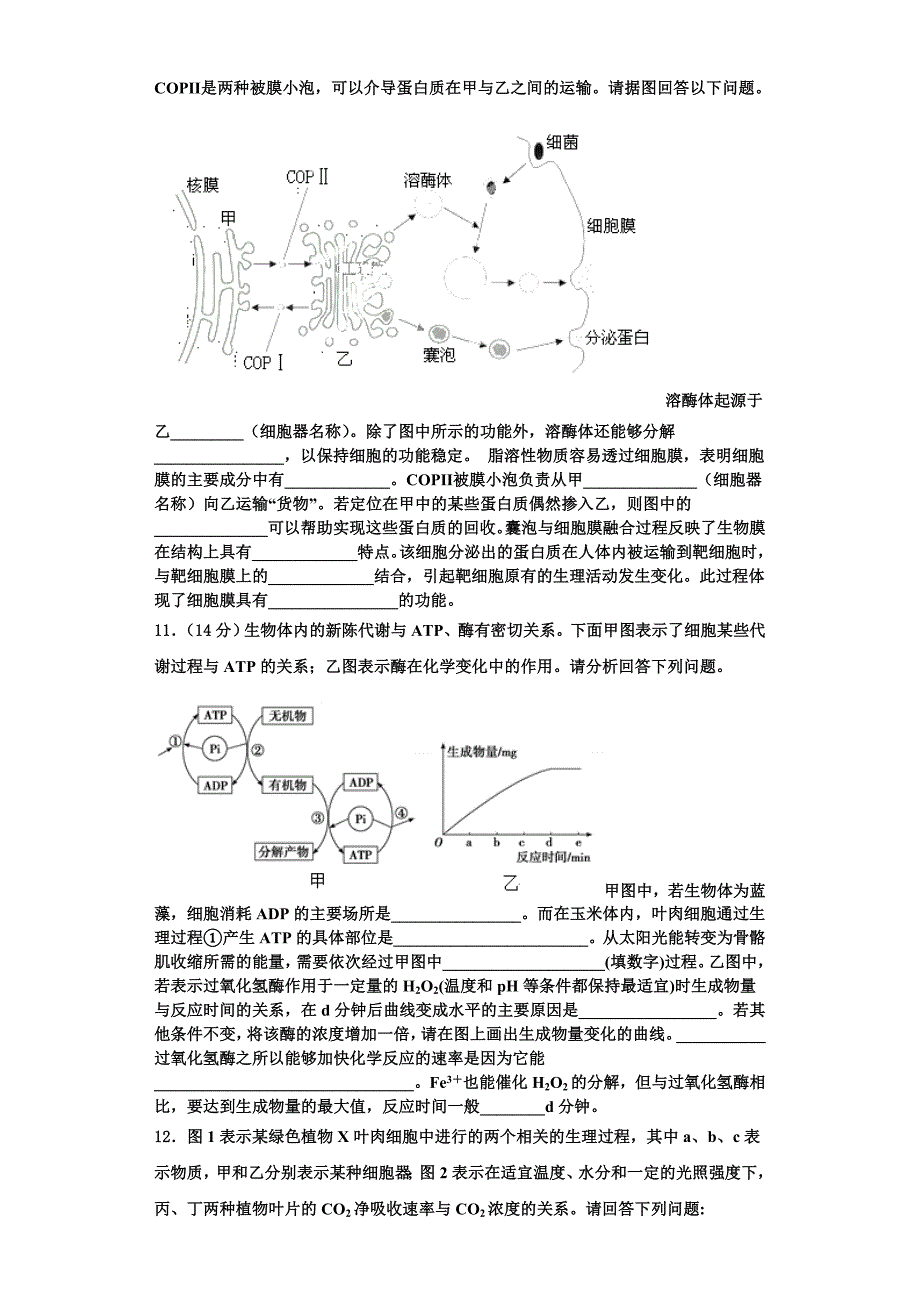 2024届普洱市重点中学生物高一上期末检测模拟试题含解析_第3页