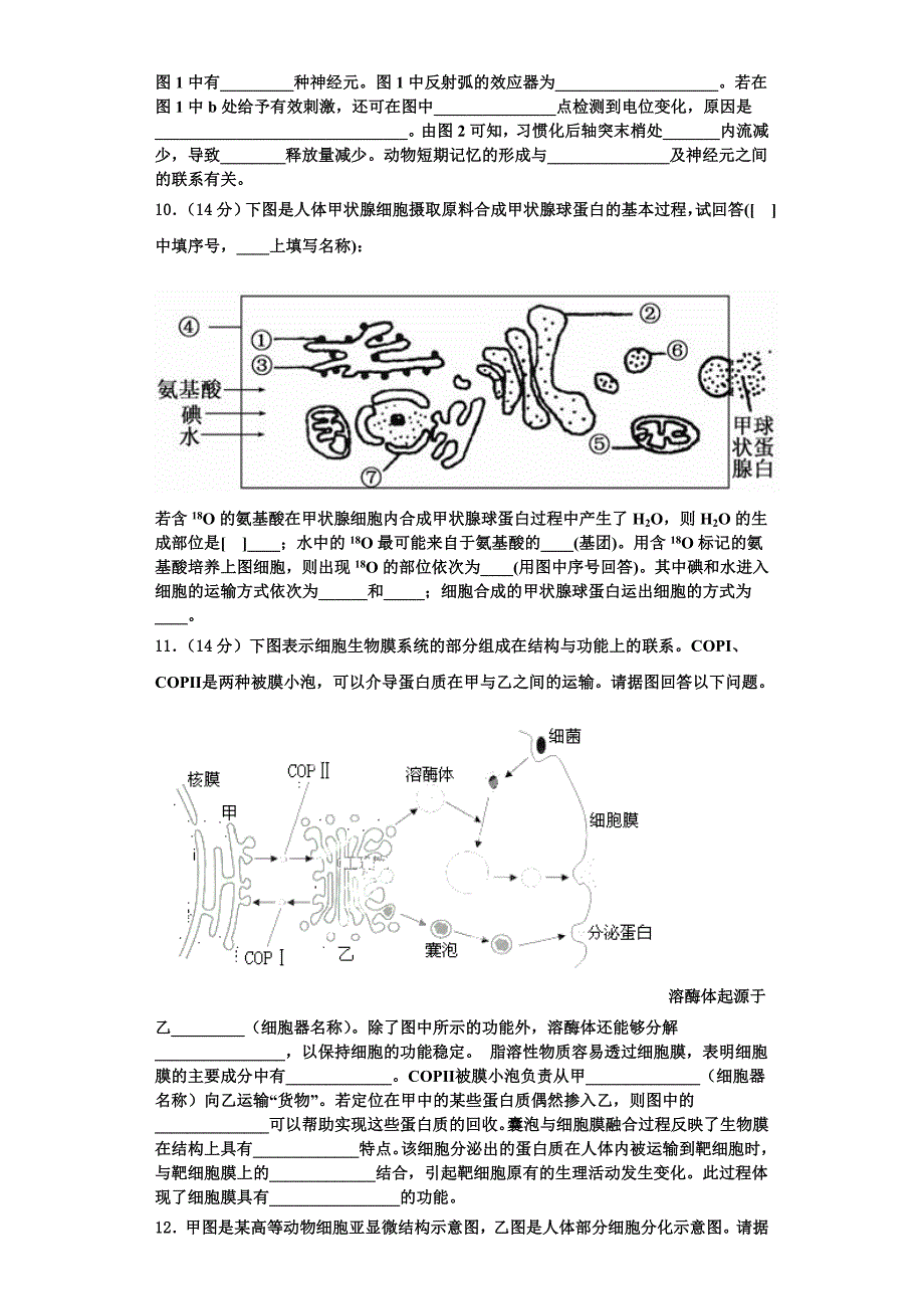 2024届上海市金山区市级名校高一生物第一学期期末教学质量检测模拟试题含解析_第3页