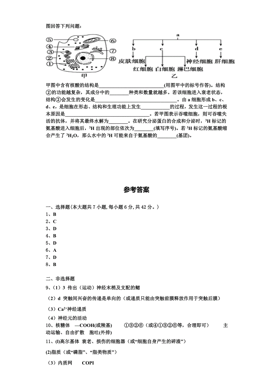 2024届上海市金山区市级名校高一生物第一学期期末教学质量检测模拟试题含解析_第4页