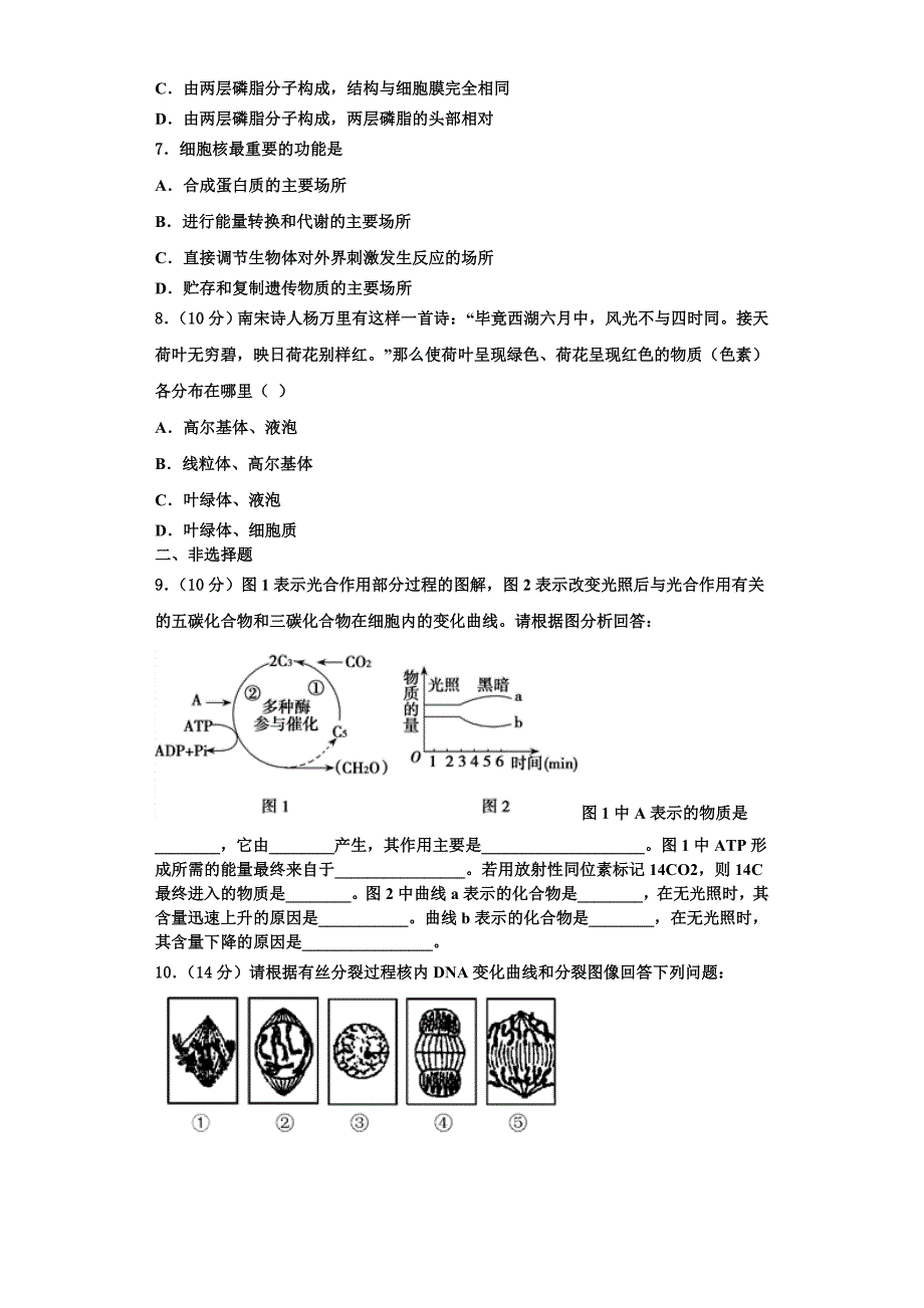 2023年四川省宜宾市南溪区第二中学校生物高一上期末教学质量检测模拟试题含解析_第2页