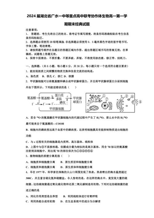 2024届湖北省广水一中等重点高中联考协作体生物高一第一学期期末经典试题含解析