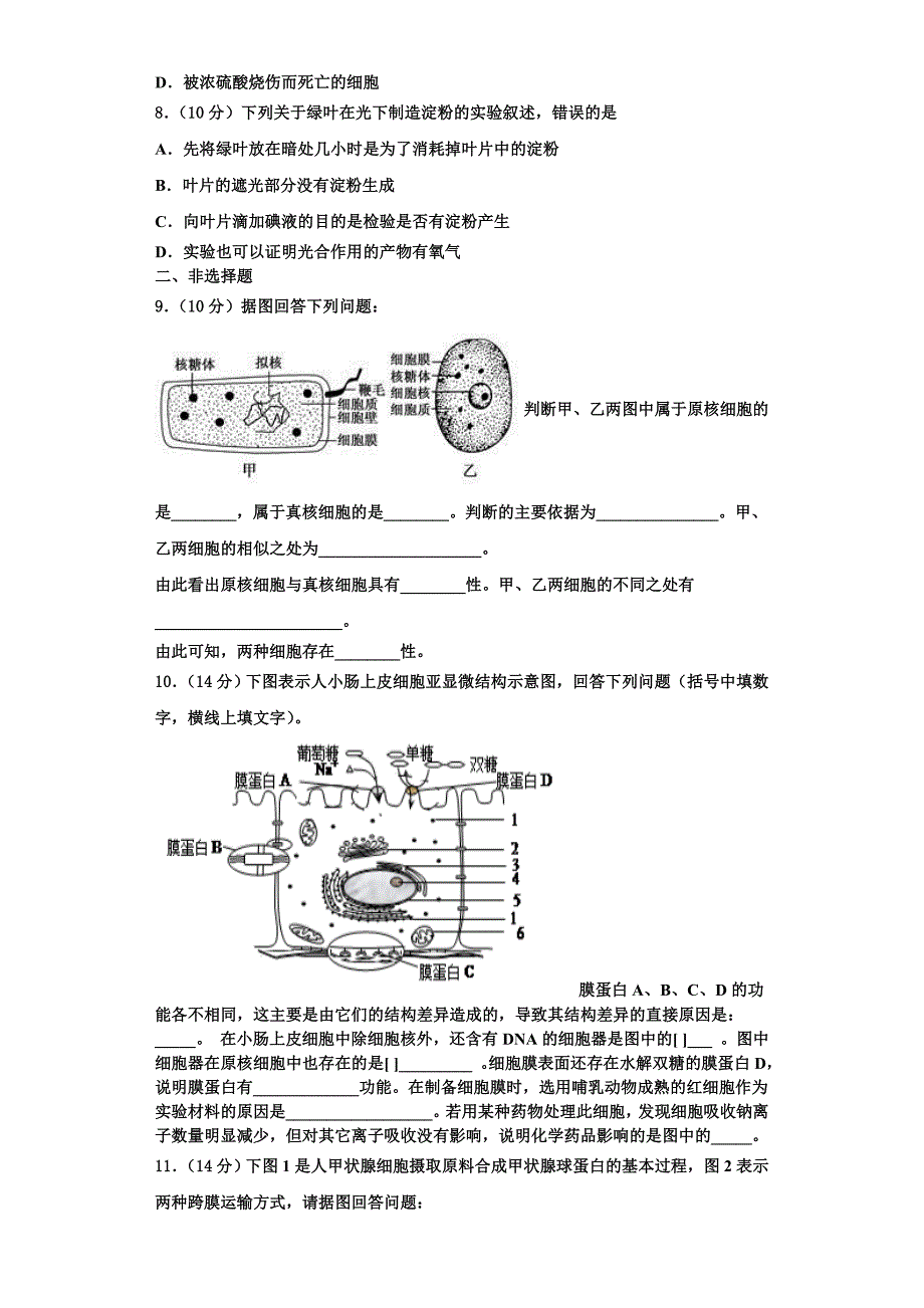 2024届湖北省宜昌市示范高中教学协作体生物高一上期末调研模拟试题含解析_第3页