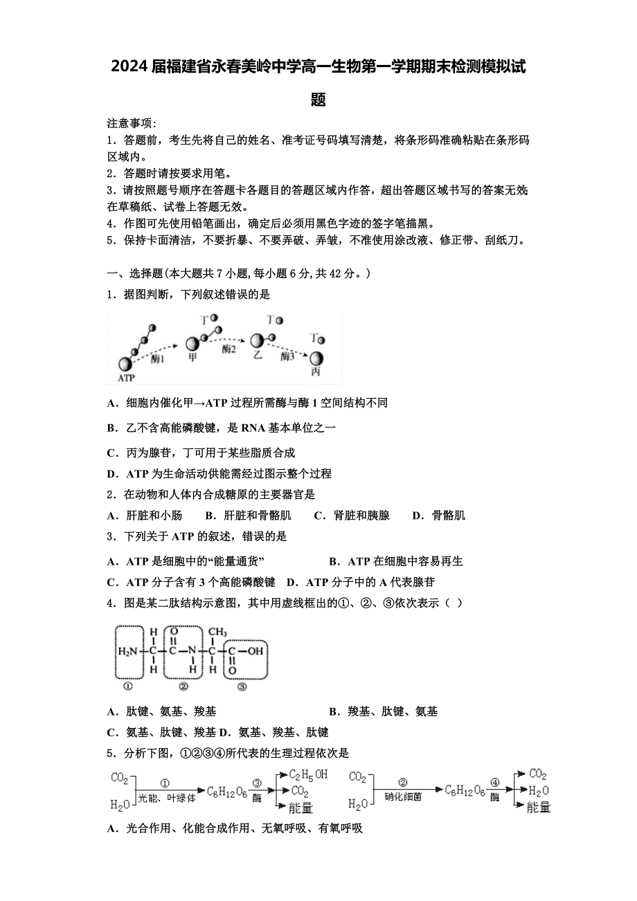 2024届福建省永春美岭中学高一生物第一学期期末检测模拟试题含解析_第1页