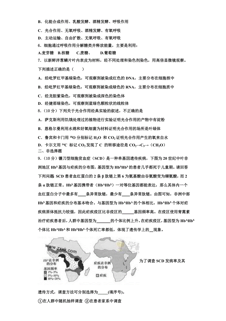 2024届福建省永春美岭中学高一生物第一学期期末检测模拟试题含解析_第2页