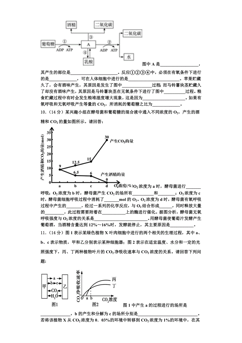 2024届河南省洛阳中学学校高一生物第一学期期末复习检测试题含解析_第3页