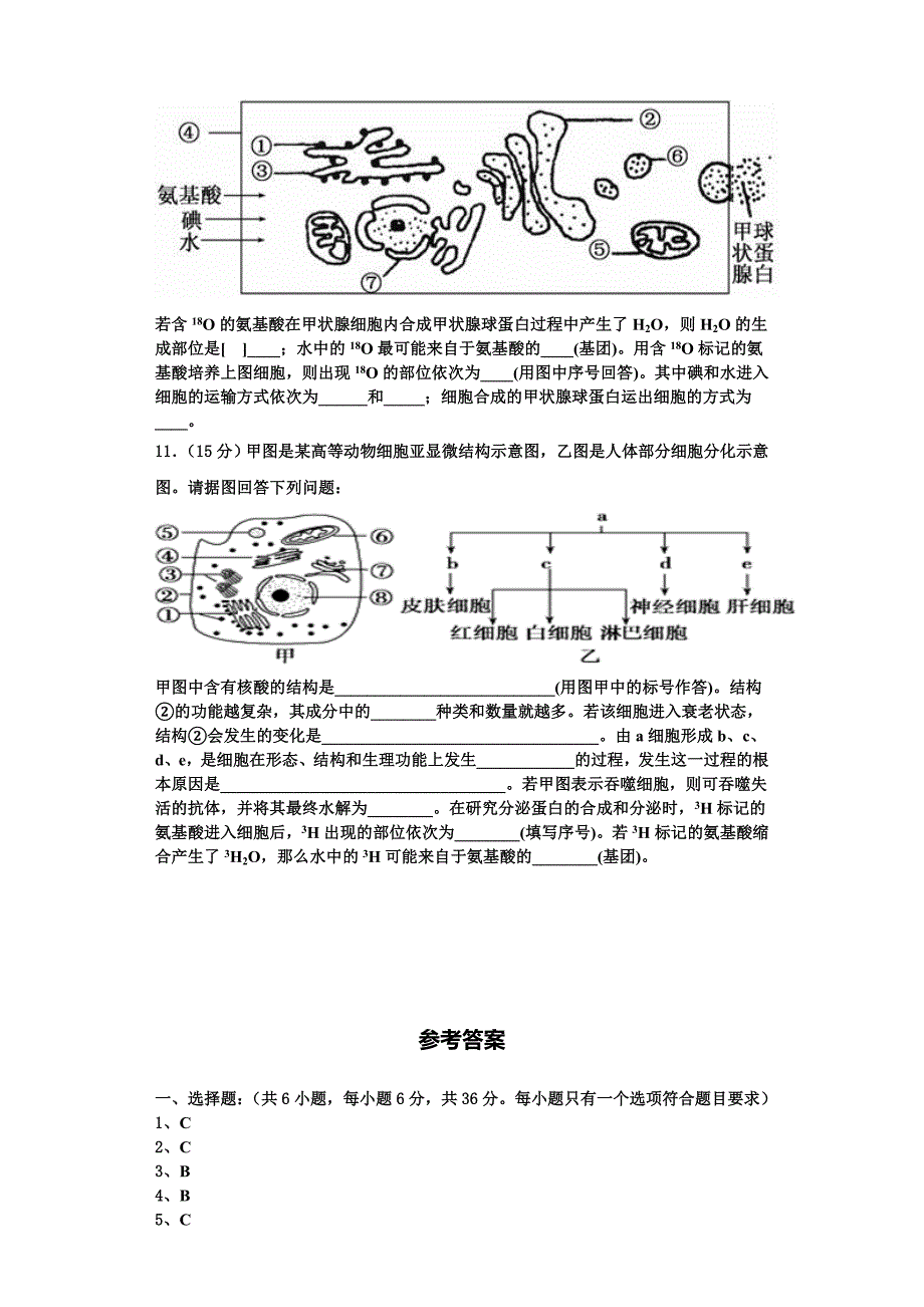 2023年岳阳市重点中学生物高一第一学期期末达标检测模拟试题含解析_第3页