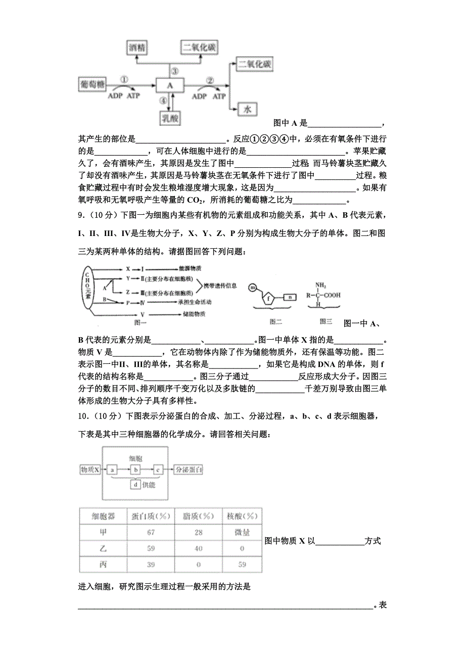 2023年上海市宝山区上海大学附中生物高一上期末达标检测模拟试题含解析_第3页