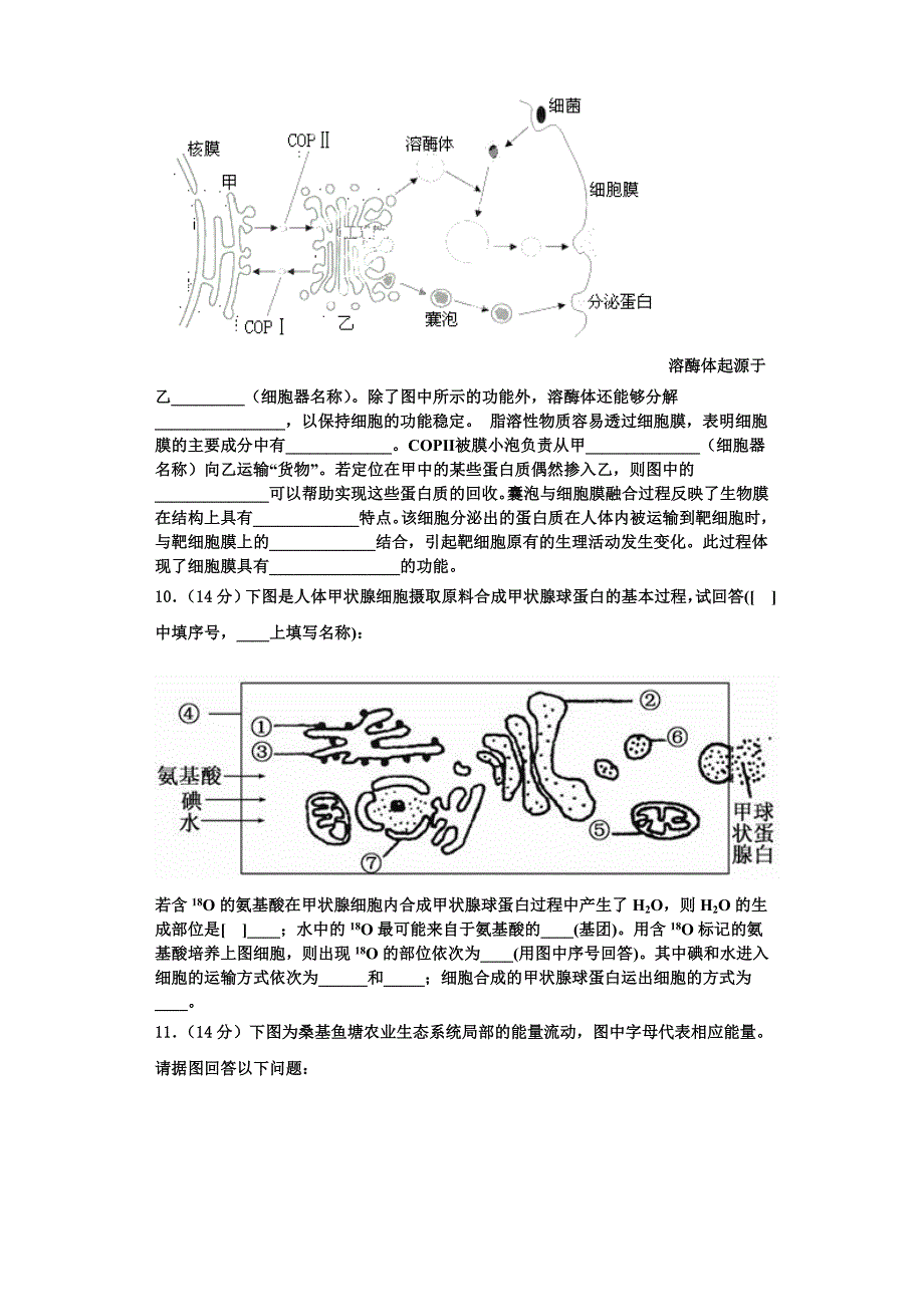 2023年云南省昭通市昭阳区第一中学生物高一上期末预测试题含解析_第3页