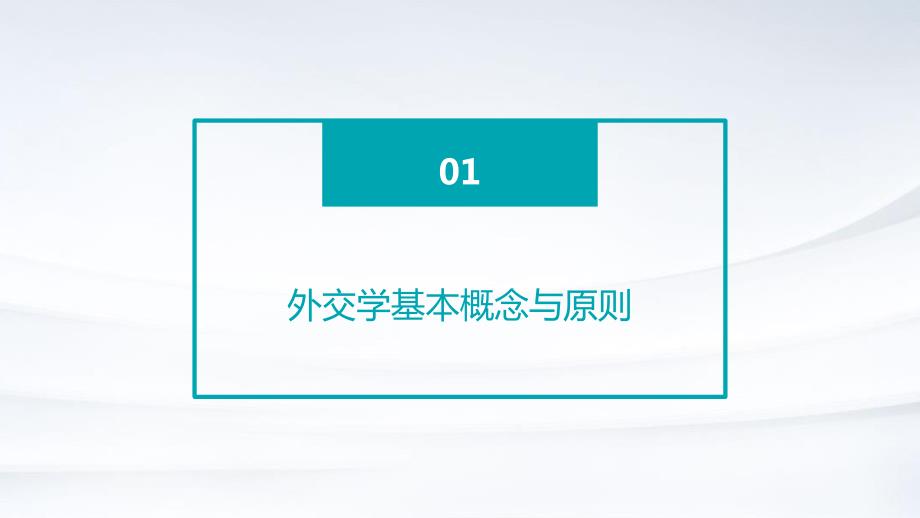 2024年外交学培训手册_第3页