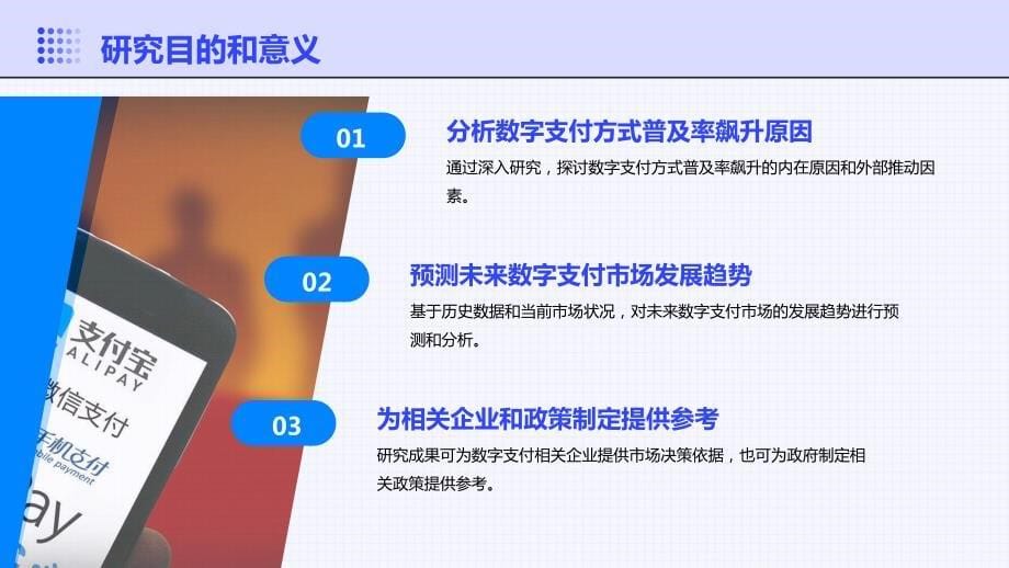 2024年数字支付方式普及率飙升_第5页