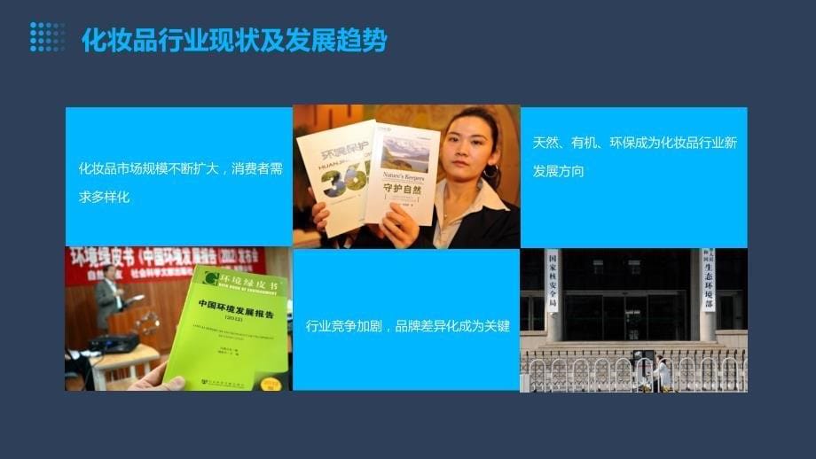 2024年化妆品行业的绿色环保发展研究_第5页