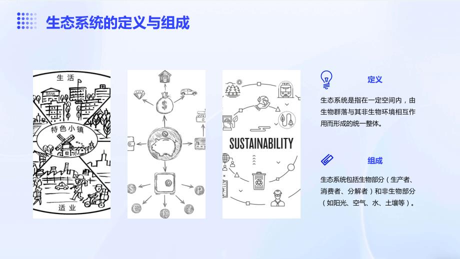 生态系统的物质转化与能量利用_第4页