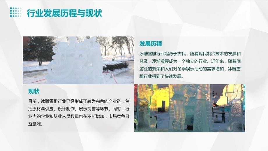 2024年冰雕雪雕行业培训资料_第5页