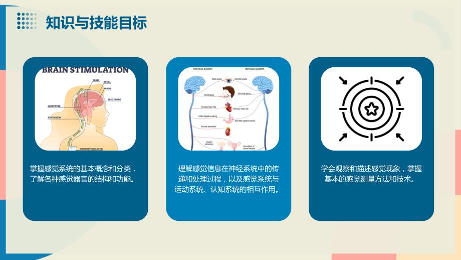 感觉系统教学设计_第4页