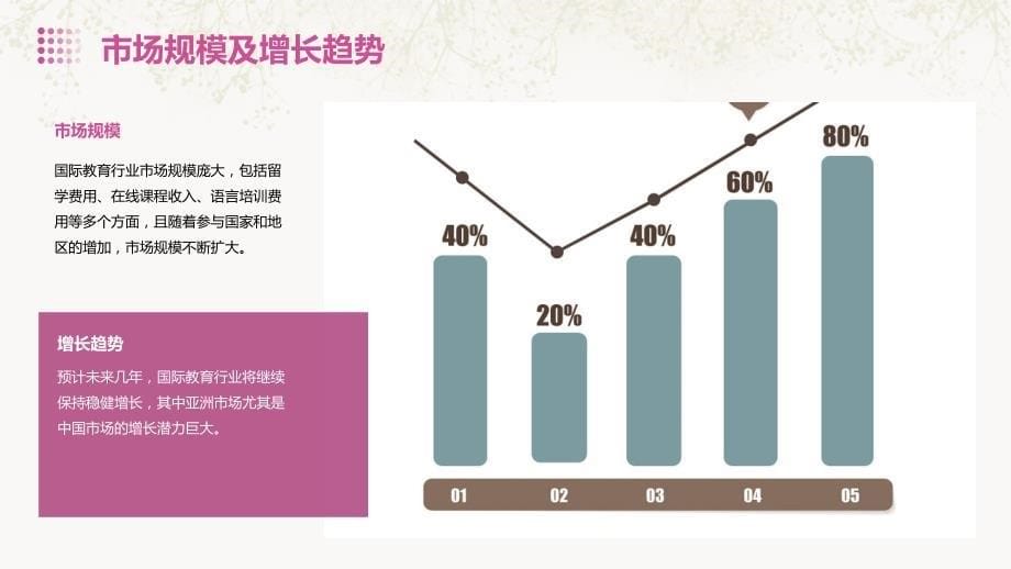 2024年国际教育行业培训资料_第5页