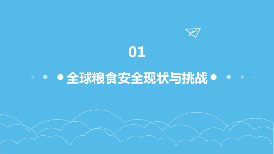 2024年全球粮食安全的重要保障_第4页