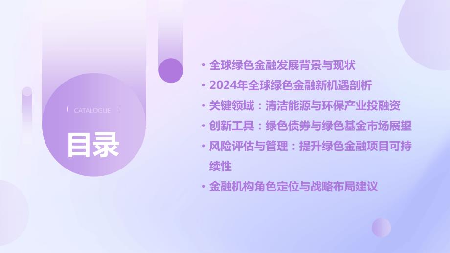 2024年全球绿色金融的新机遇_第2页