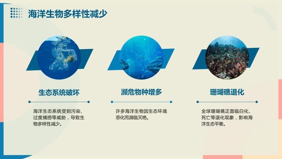 2024年全球海洋环境的新关注_第5页