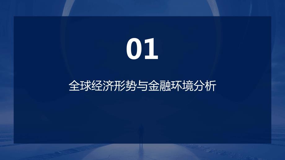 2024年全球金融体系面临的新挑战_第3页