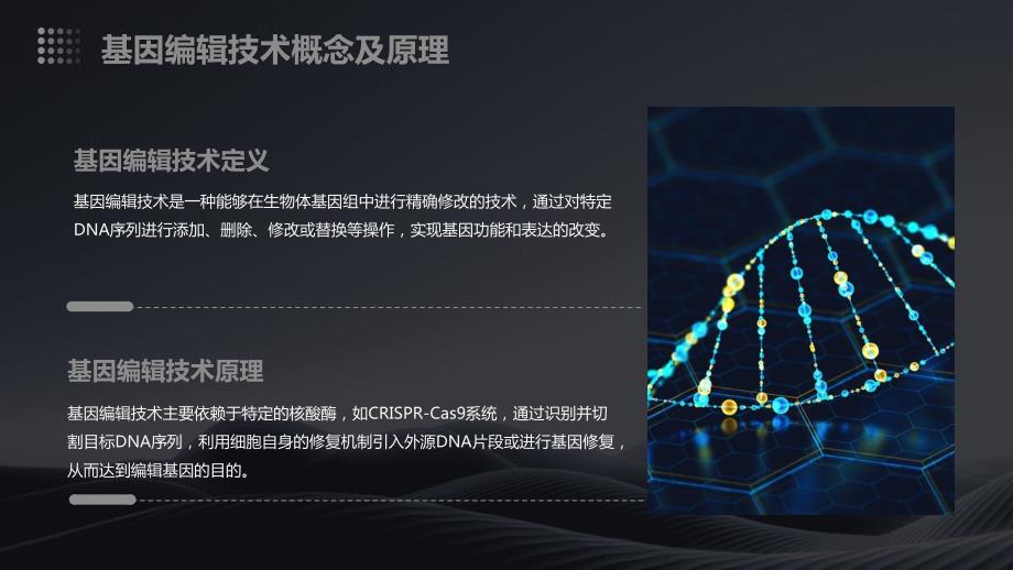 2024年全球医疗技术骤变基因编辑技术突破_第4页