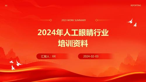 2024年人工眼睛行业培训资料