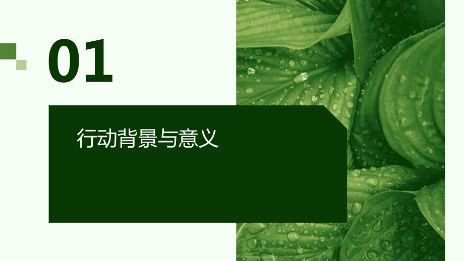 2024年全球范围内启动大规模天然资源保护行动_第3页