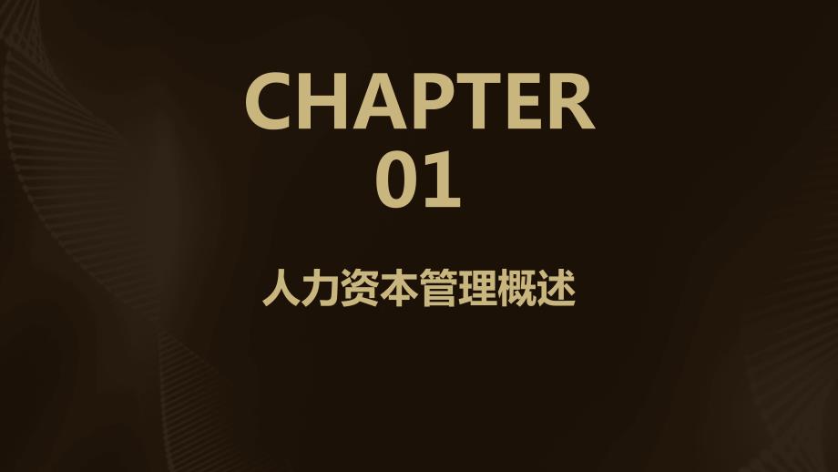 2024年人力资本管理行业培训资料_第3页