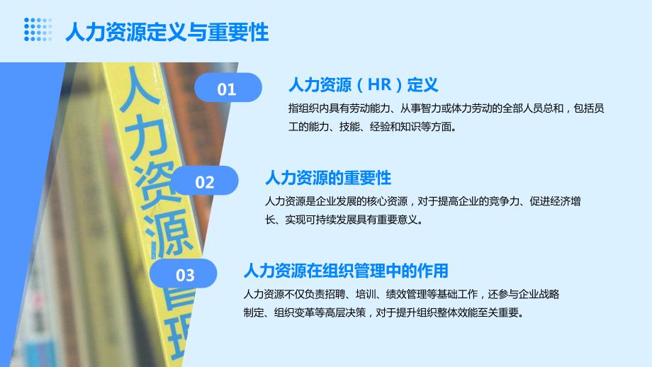 2024年人力资源管理技巧培训指南_第4页