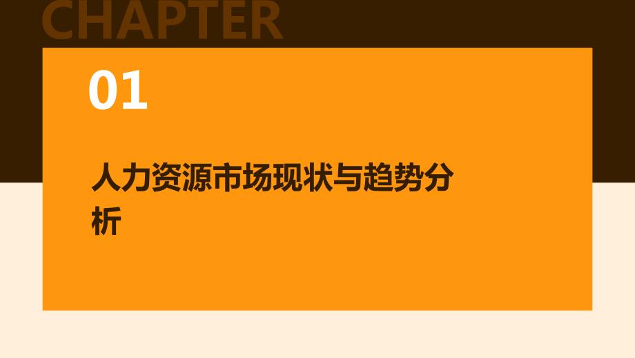 2024年人力资源发展与招聘培训资料_第3页