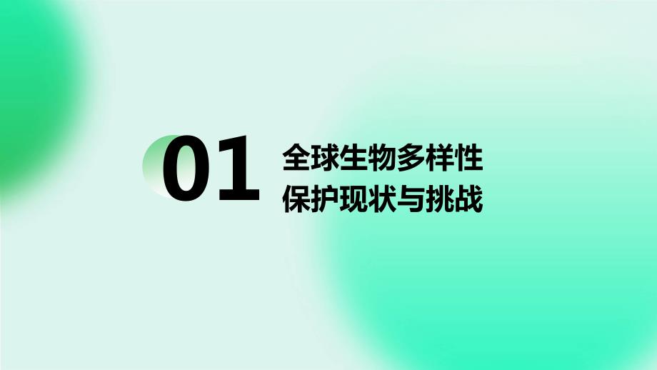 2024年全球生物多样性保护的新动力_第3页