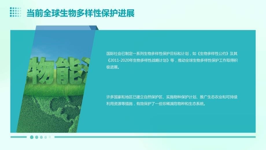 2024年全球生物多样性保护的新动力_第5页