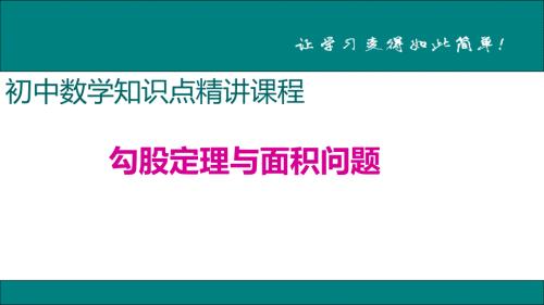 八年级下次册数数6.勾股定理与面积问题