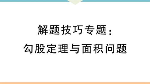 八年级下次册数数解题技巧专题：勾股定理与面积问题