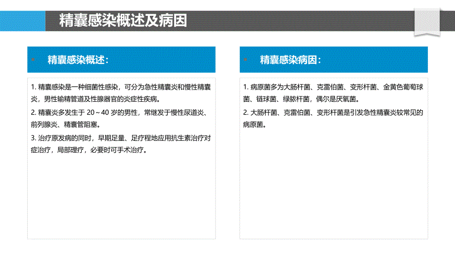 精囊感染的诊断与治疗_第4页