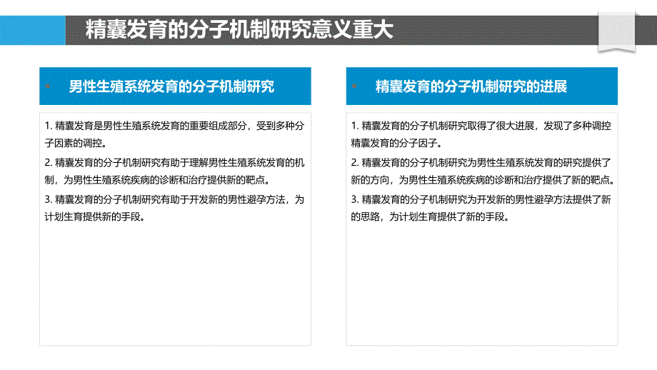 精囊发育的分子机制研究_第4页