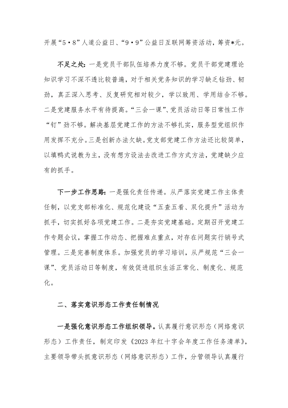 区红十字会党支部抓基层党建述职报告_第2页