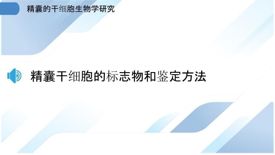 精囊的干细胞生物学研究_第5页