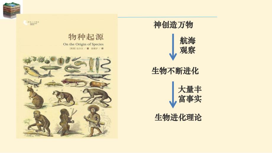 【生物】生物都有共同祖先的证据课件-2023-2024学年高一下学期生物人教版（2019）必修2_第2页