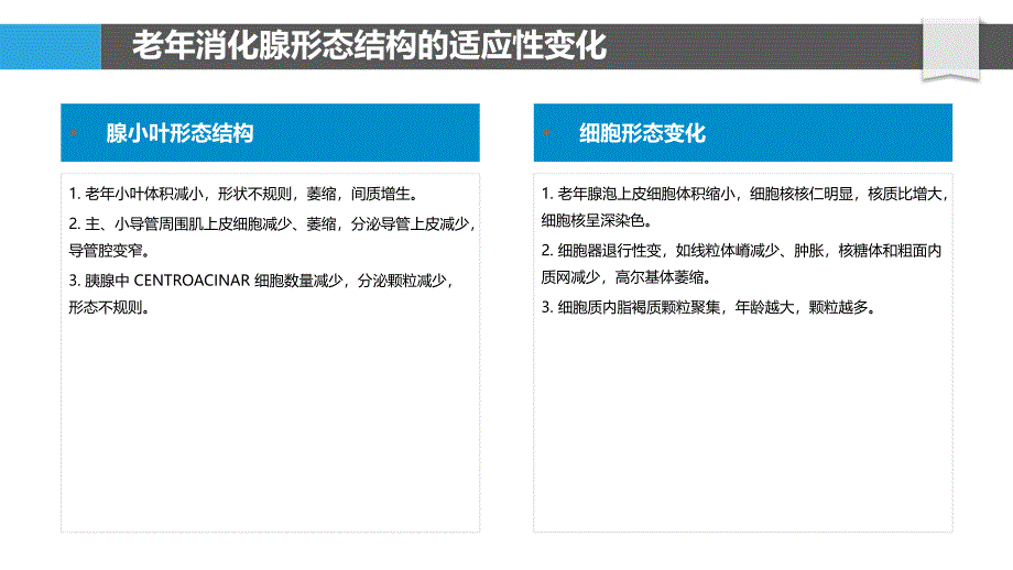 消化腺老化过程中的适应性变化研究_第4页