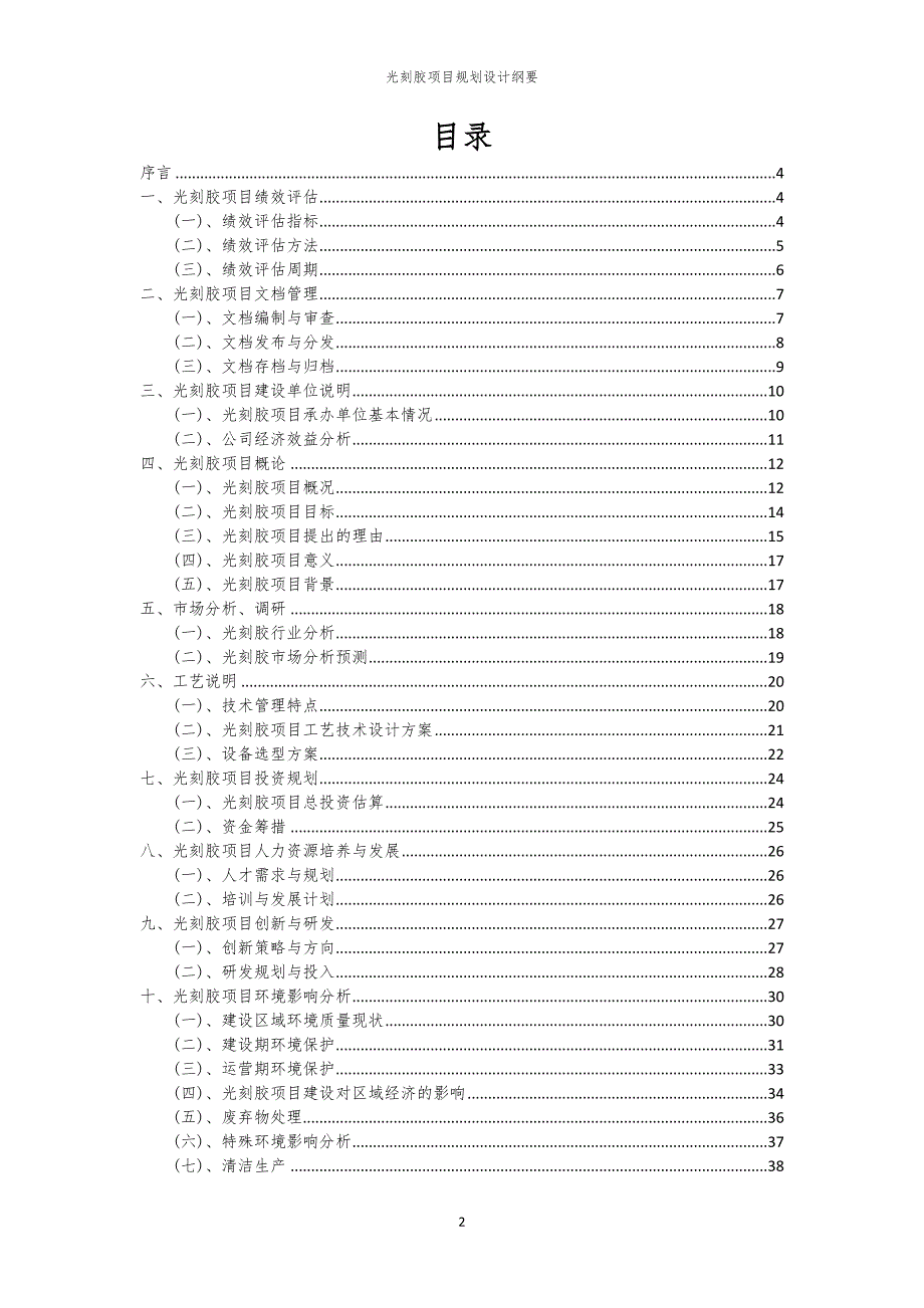 光刻胶项目规划设计纲要_第2页