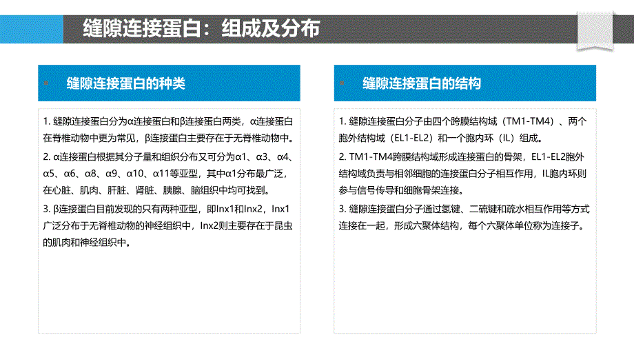 缝隙连接蛋白的结构与功能研究_第4页